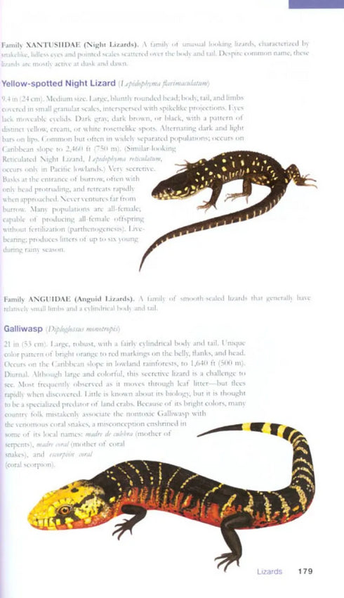 The Wildlife of Costa Rica - A field Guide - Reid,F. 2010