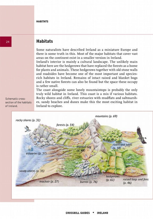 Crossbill Guides Ireland - Carsten, Krieger 2022