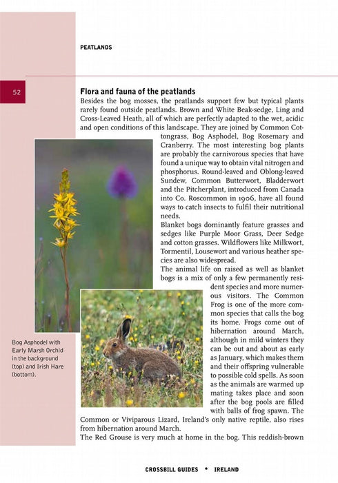 Crossbill Guides Ireland - Carsten, Krieger 2022