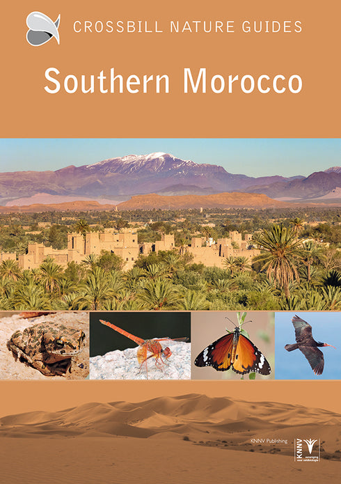 Crossbill nature guides Southern Morocco - 2023