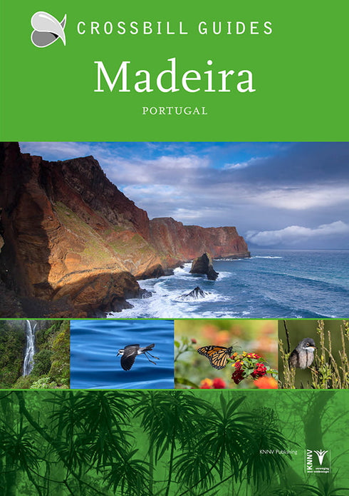 Crossbill guides Madeira - 2019