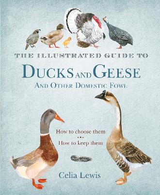 The Illustrated Guide to Ducks and Geese and Other Domestic Fowl - How to choose Thea, How to keep them - Lewis, C. 2012