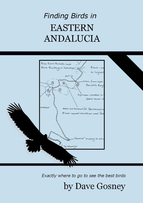 Finding bird in Eastern Andalucia - Dave Gosney 2024