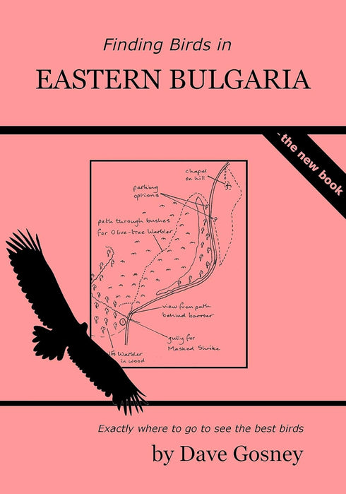 Finding bird in Eastern Bulgaria - Dave Gosney 2019