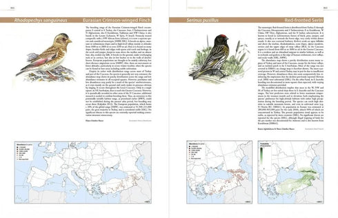 European Breeding Bird Atlas 2 - 2020 (Lynx)