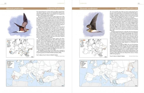 European Breeding Bird Atlas 2 - 2020 (Lynx)
