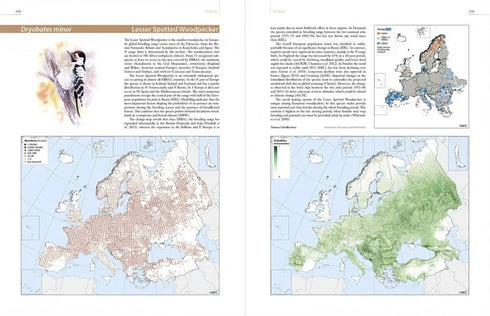 European Breeding Bird Atlas 2 - 2020 (Lynx)