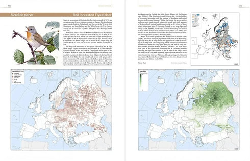 European Breeding Bird Atlas 2 - 2020 (Lynx)