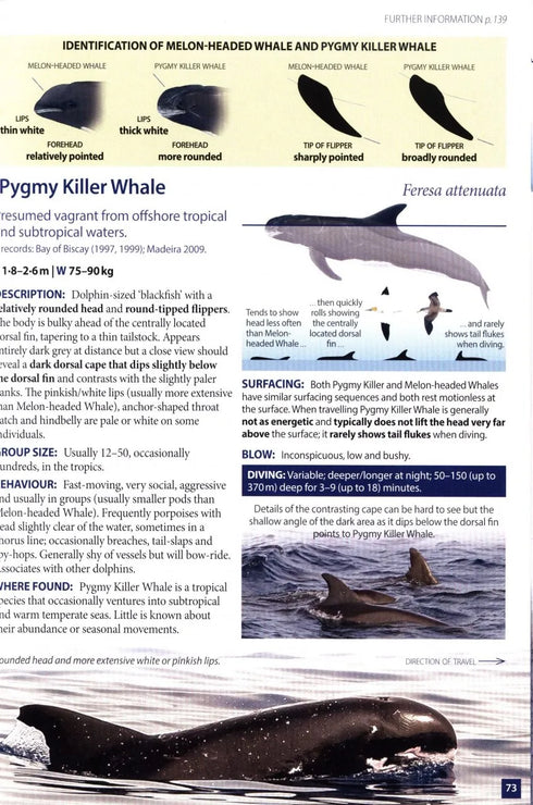 Europe's Sea Mammals - Still, R. ym. 2019