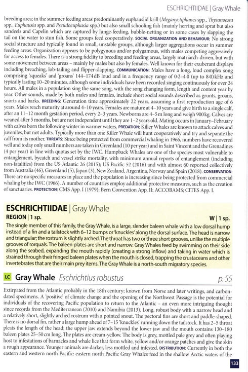 Europe's Sea Mammals - Still, R. ym. 2019