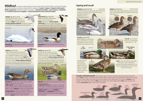 Europe’s Birds An identification Guide - Hume, R. 2021