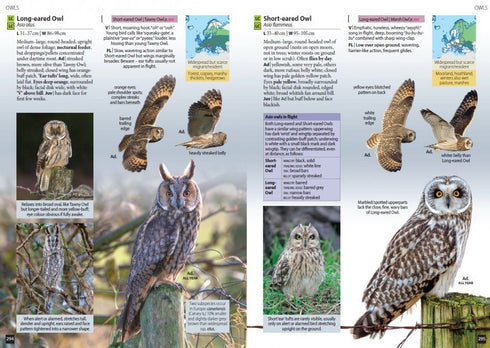 Europe’s Birds An identification Guide - Hume, R. 2021