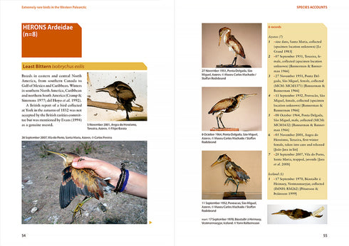 Extremely rare Birds in western Palearctic - Haas, M. 2012