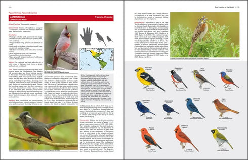 Bird Families of the World - Lynx 2015
