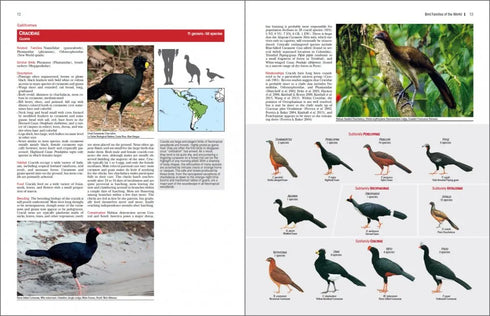 Bird Families of the World - Lynx 2015