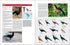 Bird Families of the World - Lynx 2015