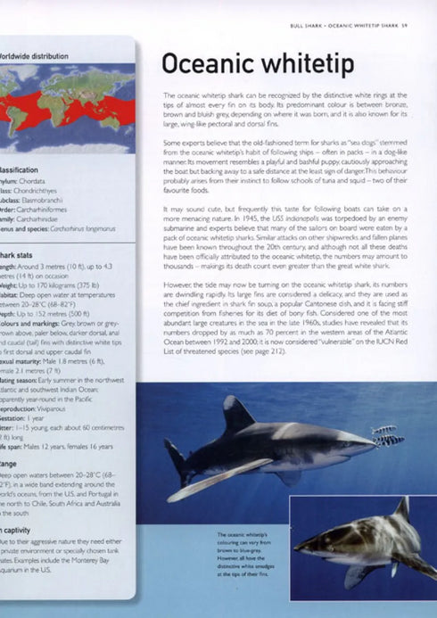 The Encyclopedia of Sharks - Parker,S. 2008