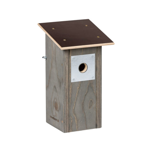 Linnunpönttö sinitiainen / kuusitiainen - kelonharmaa