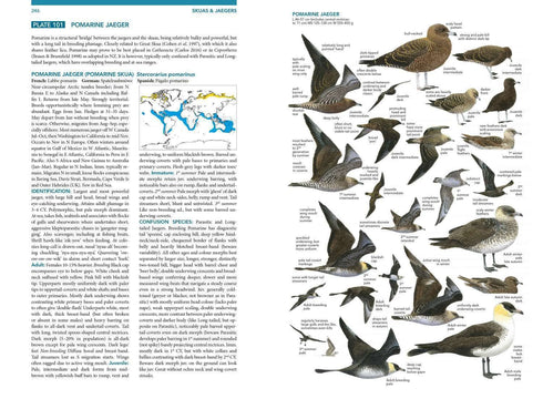 Seabirds the new identification guide - Harrison,P. ym. 2021