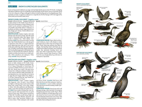 Seabirds the new identification guide - Harrison,P. ym. 2021