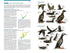 Seabirds the new identification guide - Harrison,P. ym. 2021