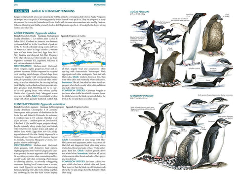 Seabirds the new identification guide - Harrison,P. ym. 2021