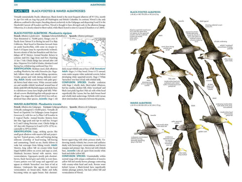 Seabirds the new identification guide - Harrison,P. ym. 2021