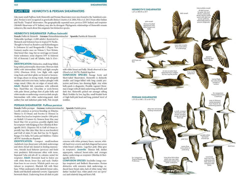 Seabirds the new identification guide - Harrison,P. ym. 2021