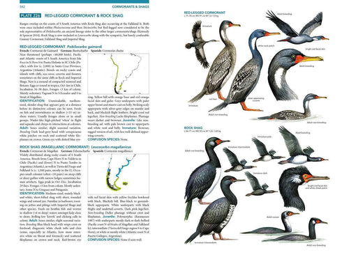 Seabirds the new identification guide - Harrison,P. ym. 2021