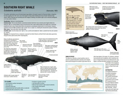 Handbook of Whales, Dolphins and Porpoises - Mark Carwardine 2019