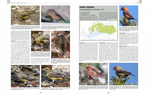 Handbook of Western Palearctic Birds: Passerines vol 1&2 - Svensson, L. ja Shirihai, H. 2018