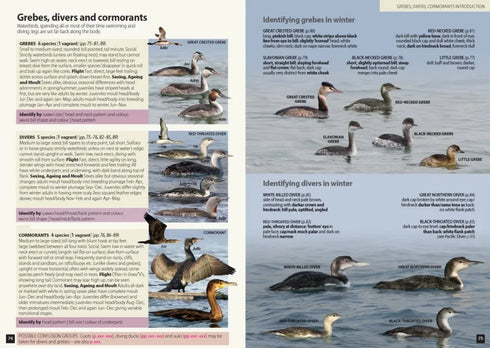 Europe’s Birds An identification Guide - Hume, R. 2021