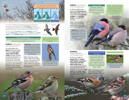 British Birds, Pocket Guide - Hume, R. ym. 2019