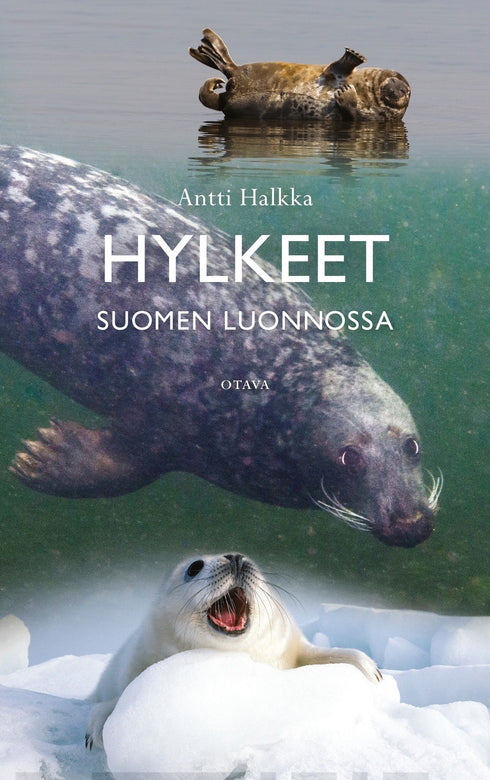 Hylkeet Suomen luonnossa - Antti Halkka 2022