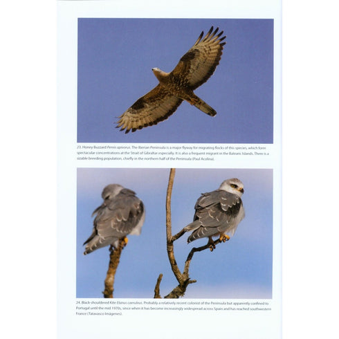Birds of Iberian Peninsula - Juana. E. D. & Garcia, E. 2015