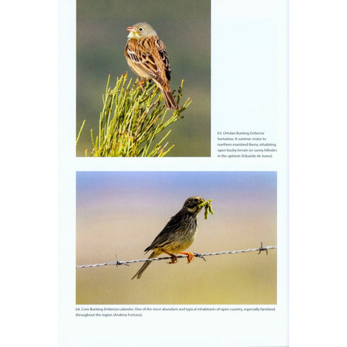 Birds of Iberian Peninsula - Juana. E. D. & Garcia, E. 2015