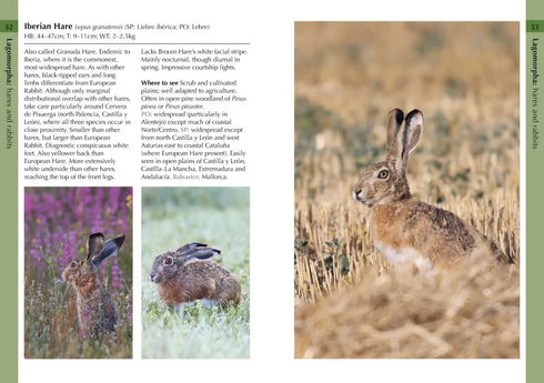 Mammals of Iberia - Bocos Gonzales 2025