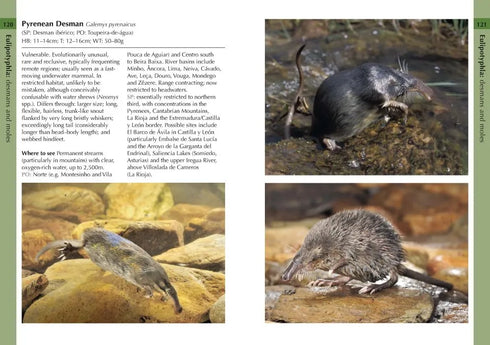 Mammals of Iberia - Bocos Gonzales 2025