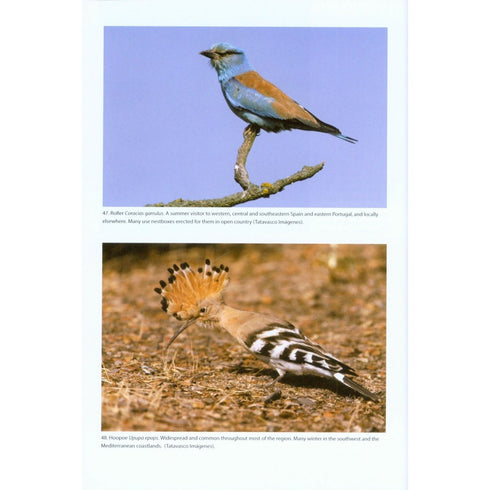 Birds of Iberian Peninsula - Juana. E. D. & Garcia, E. 2015