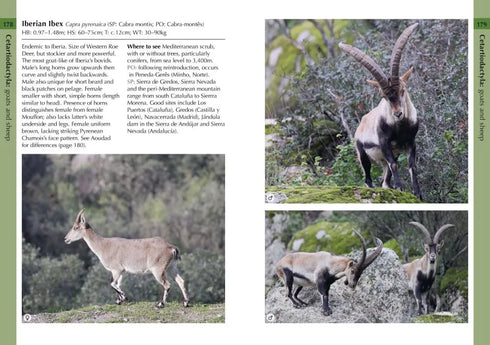 Mammals of Iberia - Bocos Gonzales 2025