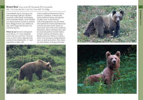 Mammals of Iberia - Bocos Gonzales 2025