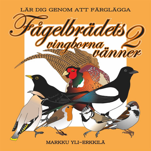 Fågelbrädets vingborna vänner 2