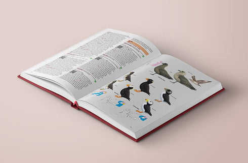 Birds of japan - Otami Chikara, 2019 kovakantinen