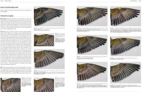 Moult and Ageing of European Passerines 2. ed. Jenni, L. & Winkler, R. 2019