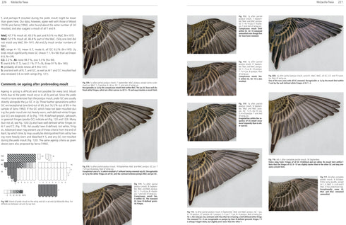 Moult and Ageing of European Passerines 2. ed. Jenni, L. & Winkler, R. 2019