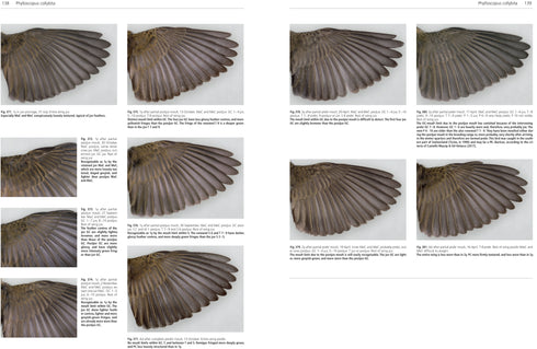 Moult and Ageing of European Passerines 2. ed. Jenni, L. & Winkler, R. 2019