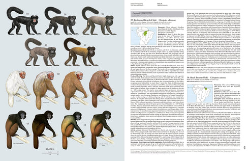 Handbook of the Mammals of the World no 3, Primates - Lynx 2013