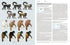 Handbook of the Mammals of the World no 3, Primates - Lynx 2013