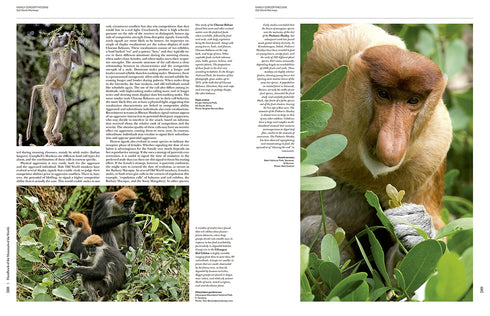 Handbook of the Mammals of the World no 3, Primates - Lynx 2013