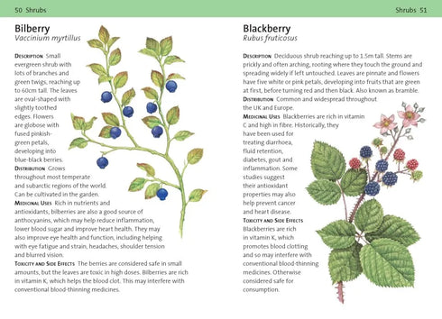 Concise Medicinal Plants - Tiffany Francis-Baker 2025